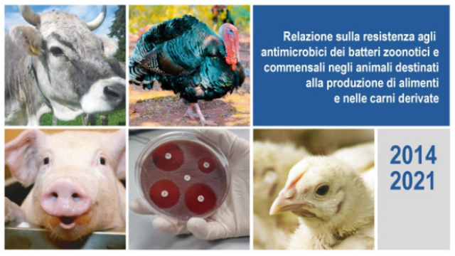 Relazione sulla resistenza agli antimicrobici dei batteri zoonotici e commensali negli animali destinati alla produzione di alimenti e nelle carni derivate